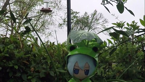 Rainy day fumo