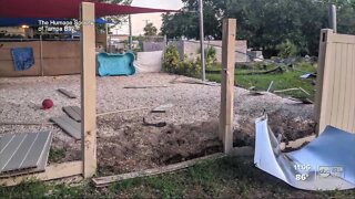 Search for driver who plowed through yard