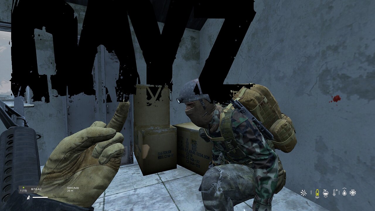 DayZ adventures . NEW ON RUMBLE !!!