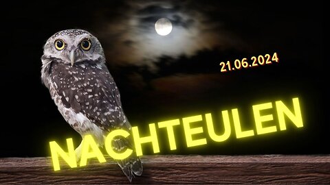 Nachteulen - 21.06.2024