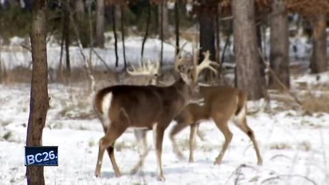 DNR asking hunters to help track CWD