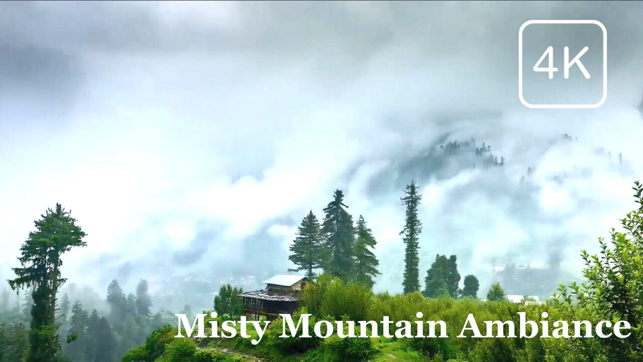 Misty Mountain Serenity: Relaxing Foggy Ambiance for Sleep