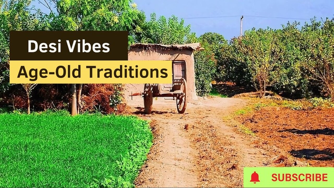 Desi Vibes: Transform Your Day with Desi Culture