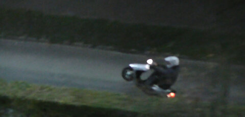 Night hamsters - Bikers.