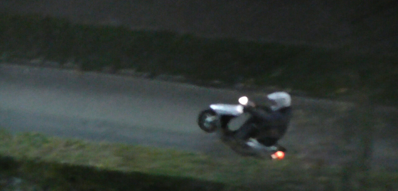 Night hamsters - Bikers.