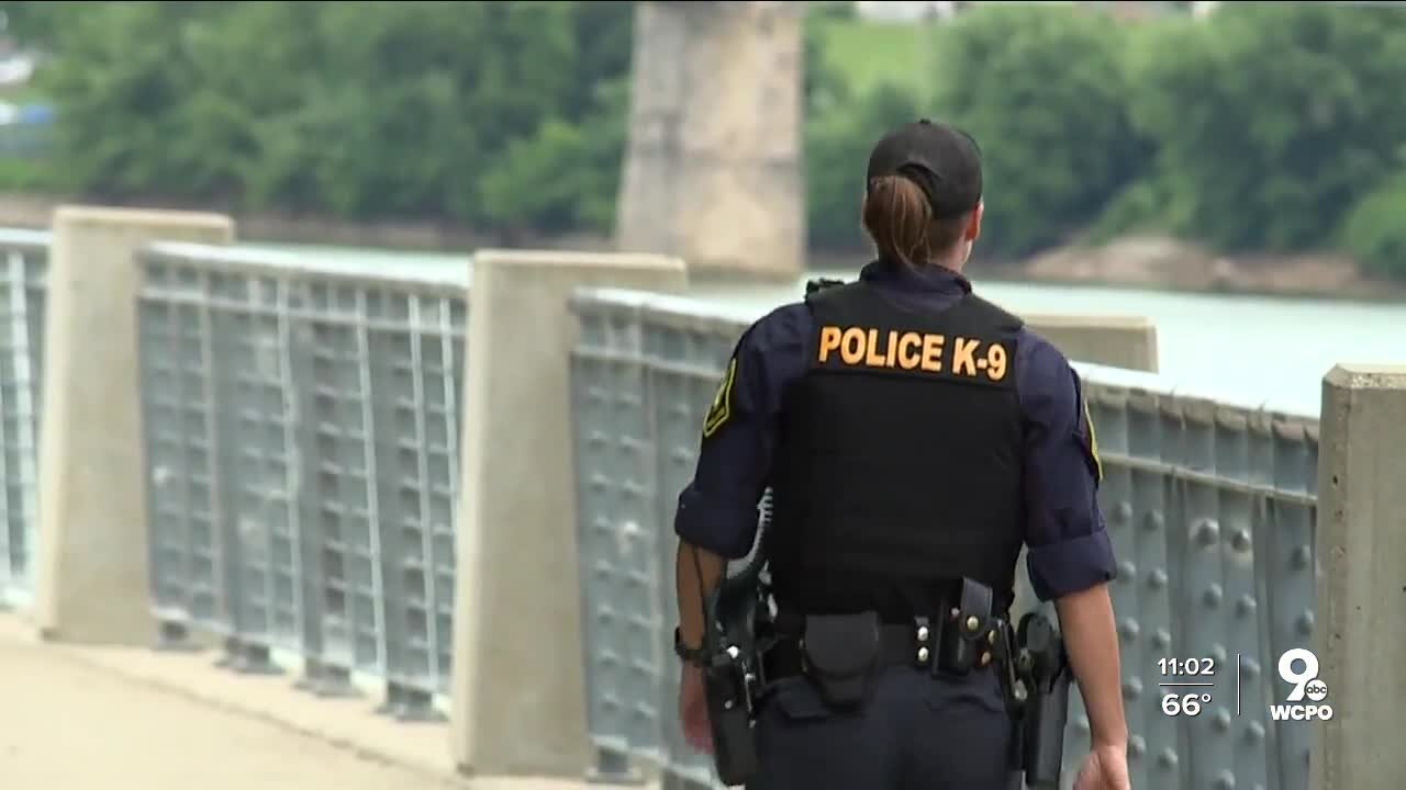 Increased police patrols in Smale Park