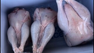 Chicken Processing in October 2022