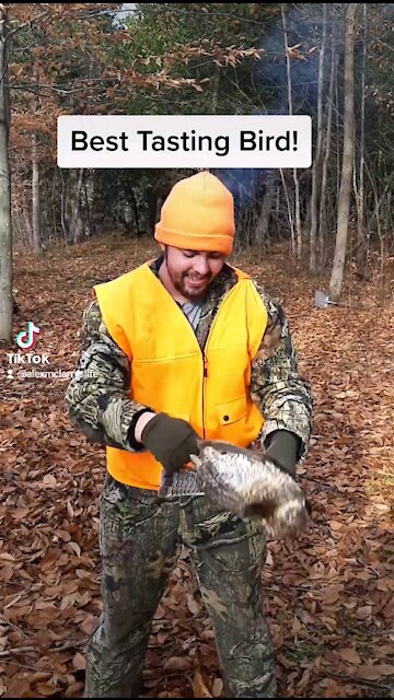 THIS VIDEO GOT REMOVED FROM TIC TOK