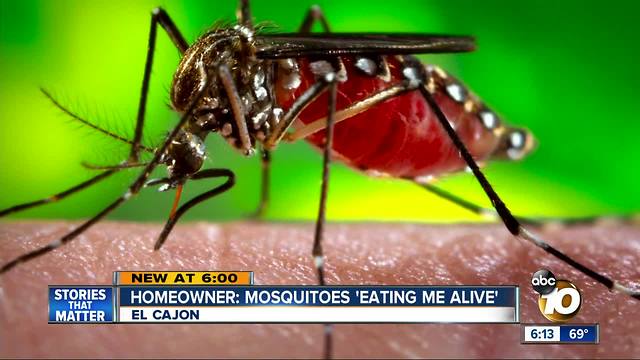 Homeowner: Mosquitoes 'eating me alive'