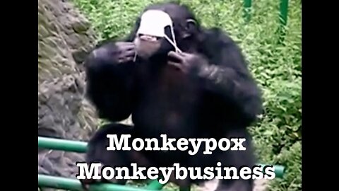 Monkeypox Monkeybusiness