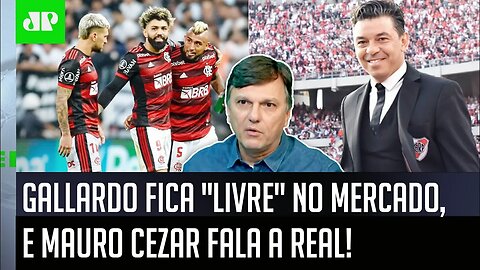 "Eu acho que o Flamengo TEM A OBRIGAÇÃO de FICAR ATENTO a..." Mauro Cezar FALA TUDO sobre Gallardo!