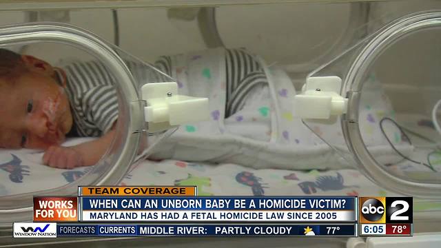 When can someone be charged under Maryland's fetal homicide law?
