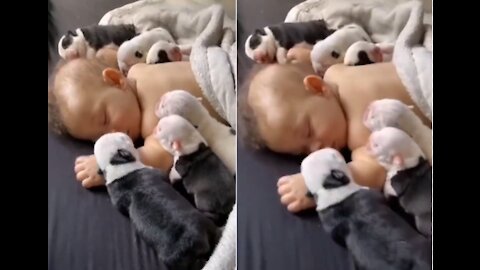 CUTE BABY SLEEPING WITH PUPPY👶 do not miss it 🥰