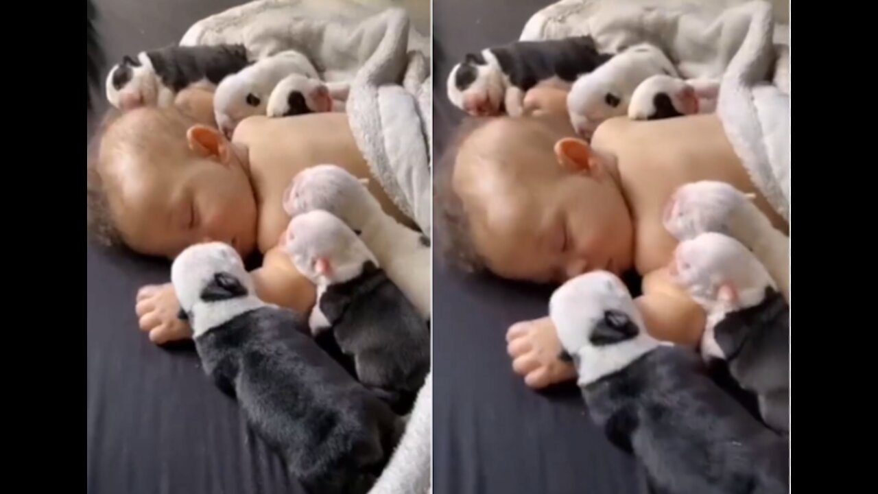 CUTE BABY SLEEPING WITH PUPPY👶 do not miss it 🥰