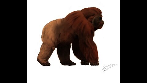 A Giant Ape - Gigantopithecus (possibly Bigfoot)