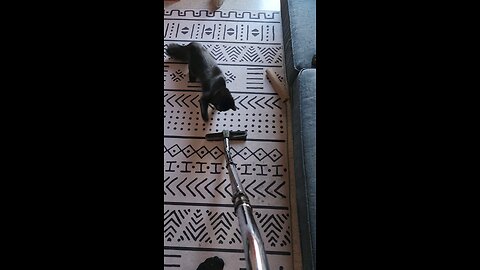 Vader vs Vacuuming