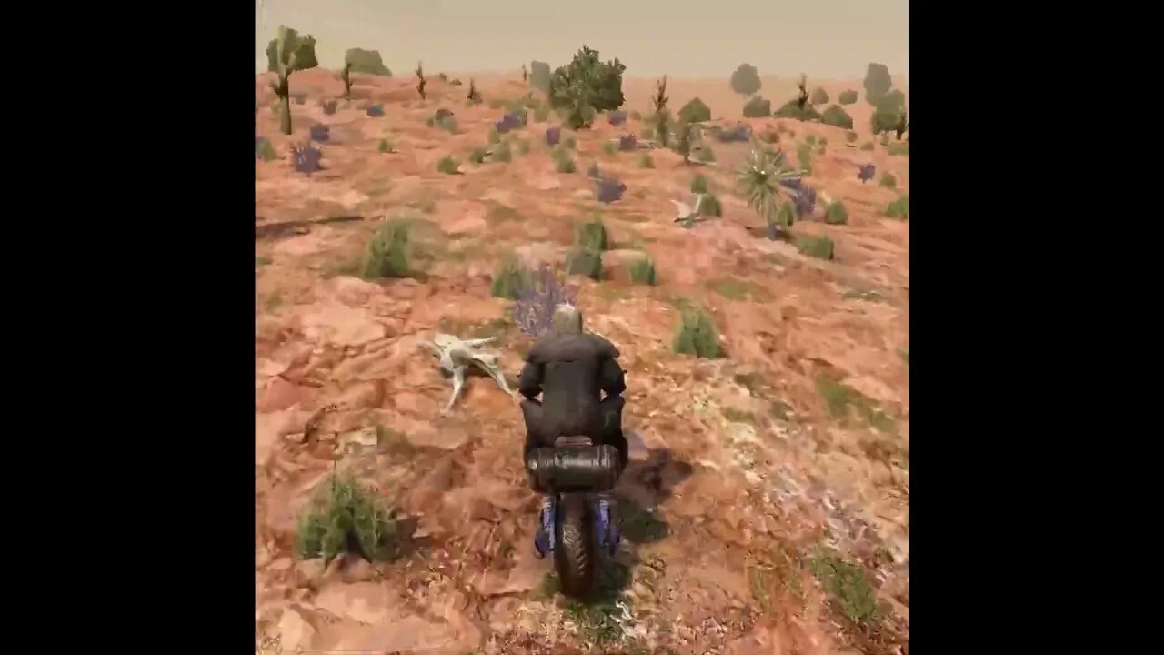 Road Kill .. coyote's head loses to bike | 7 Days To Die | Alpha 21 #oldgoatgaming #7dtd #alpha21