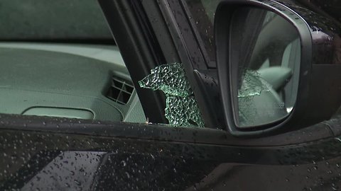 Car break-ins rising in Slavic Village