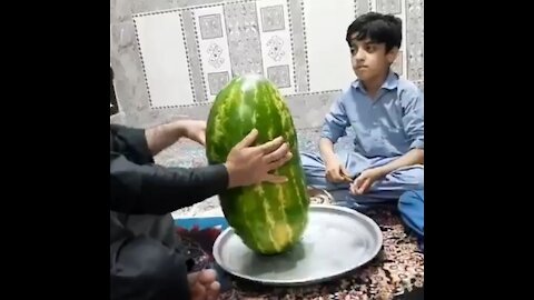 WATER MELON MIRACLE