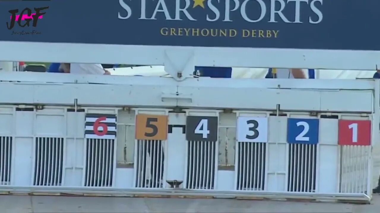 Greyhound dog racing - Track race 480m