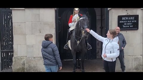 Tourist stumbles back as horse bumps him #horseguardsparade