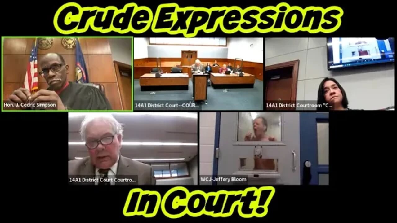 Wild Court Moments #202