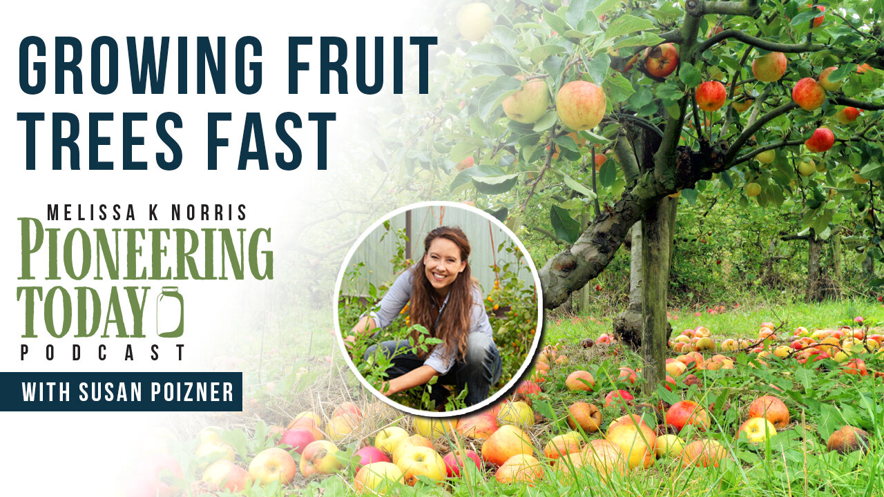 EP: 424 Growing Fruit Trees Fast with Susan Poizner