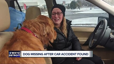 Dog named Red missing following roll over accident found safe, being checked out at the vet