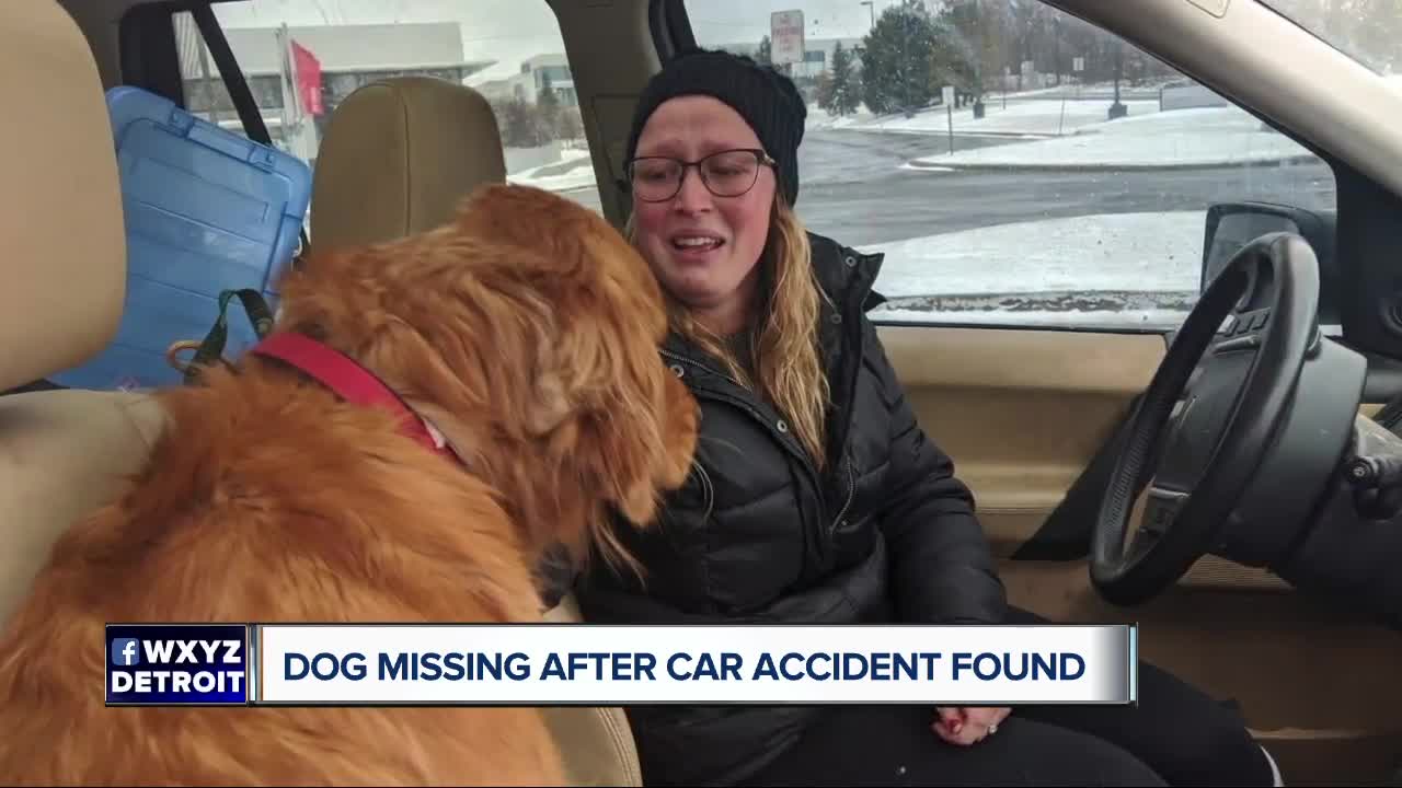 Dog named Red missing following roll over accident found safe, being checked out at the vet