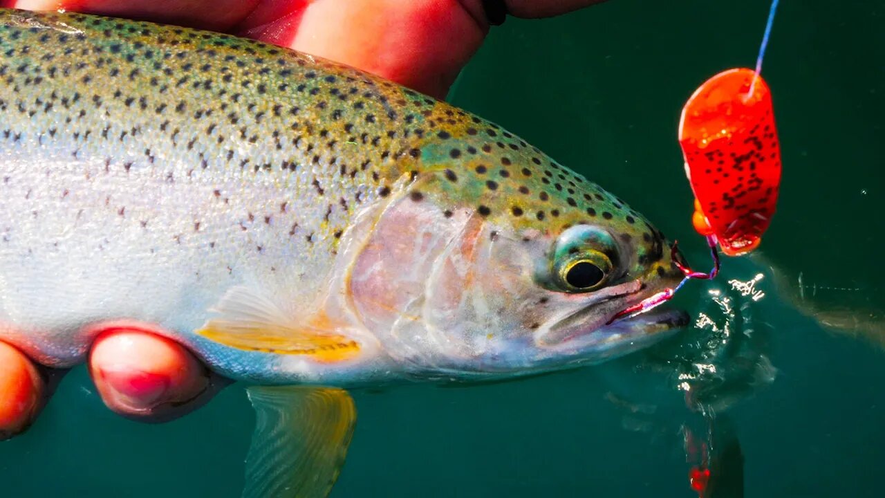 5 PROVEN Setups For Catching Summertime TROUT In Rivers & LAKES!!