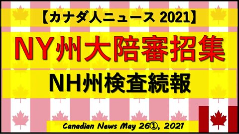 NY州大陪審招集 NH州検査続報