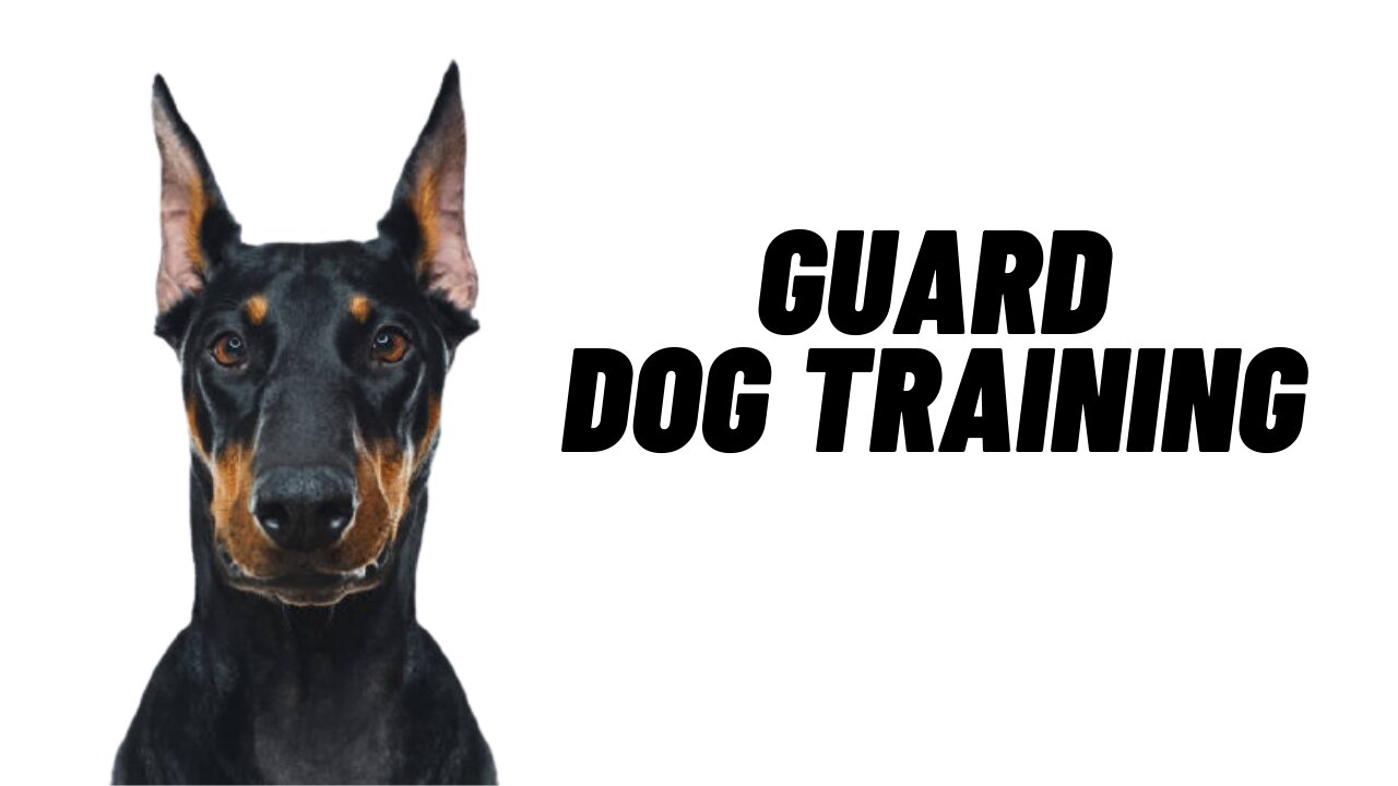 Guard Dog Training for all levels 2021