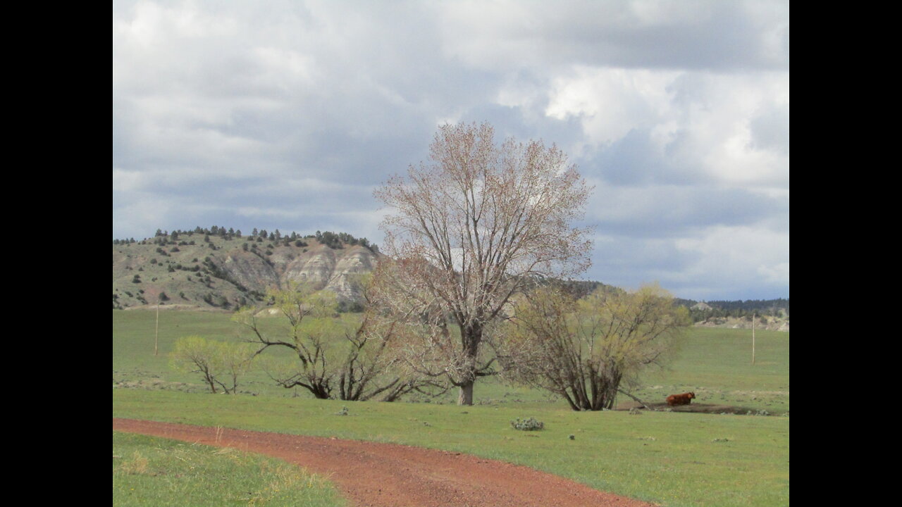 Highway 59: Around the Next Bend