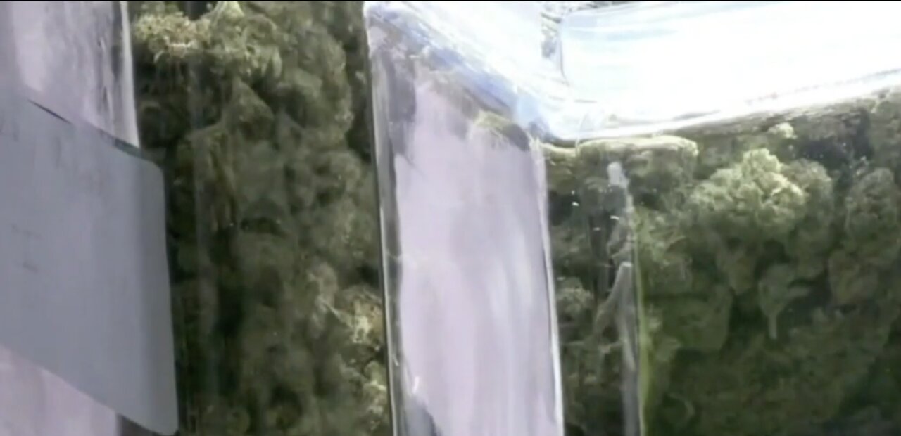 Marijuana dispensary debate in Warren continues