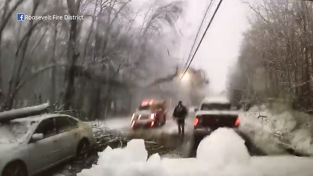 Tree limb falls on power lines over car accident