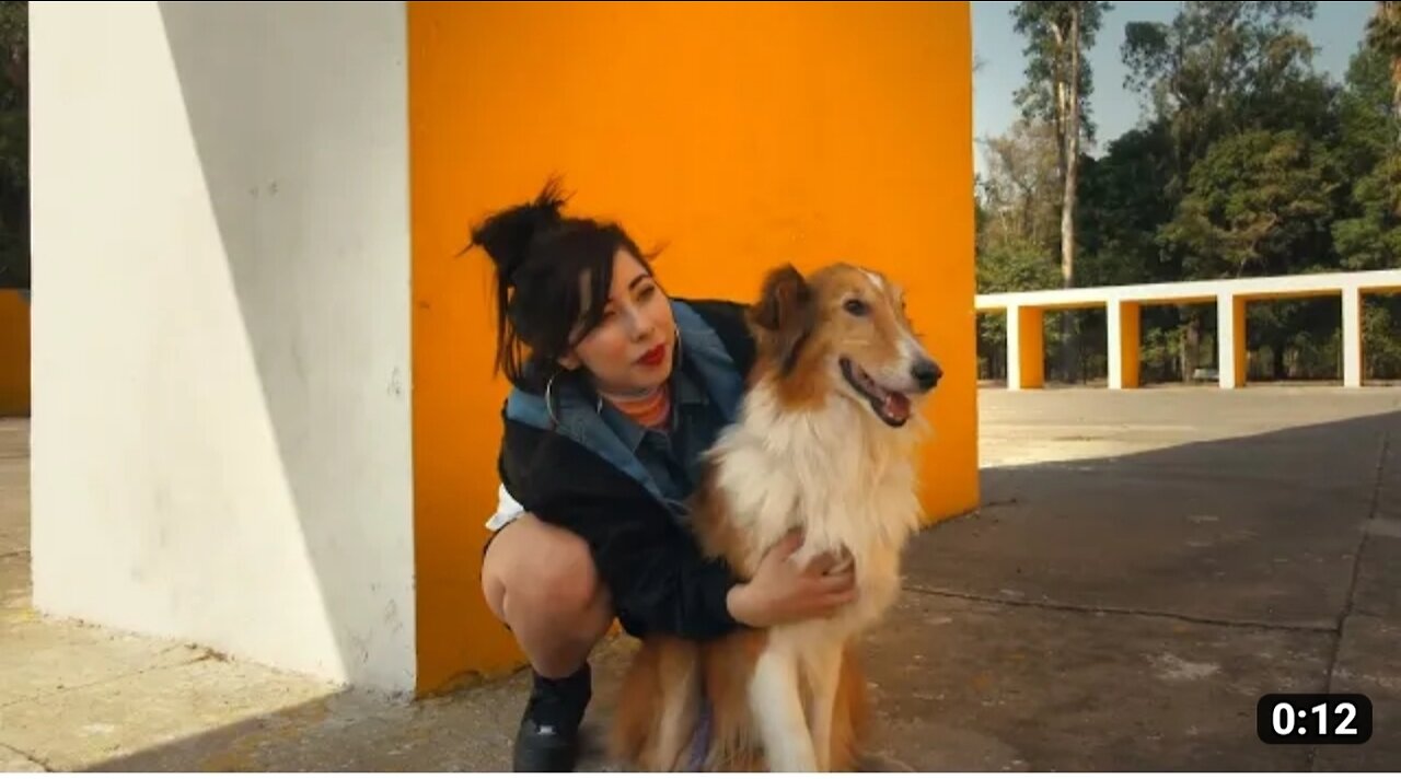 A woman hugging a dog