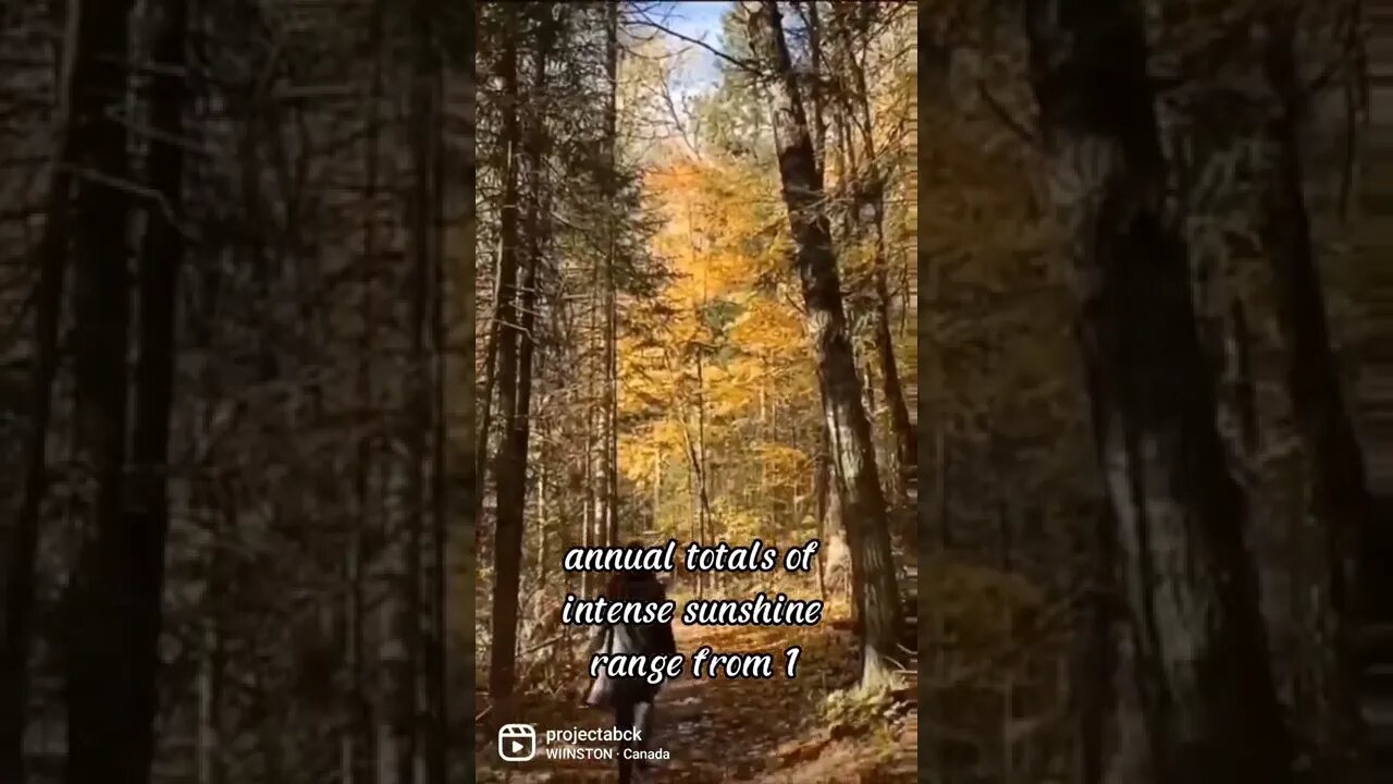 🇨🇦 Alberta