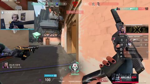 TROLL REYNA ACE