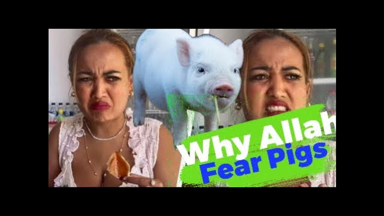 Lina Mukherjee jailed 2 years for eating pork in Indonesia | Camel urine good for Muslims | Malay Subs |