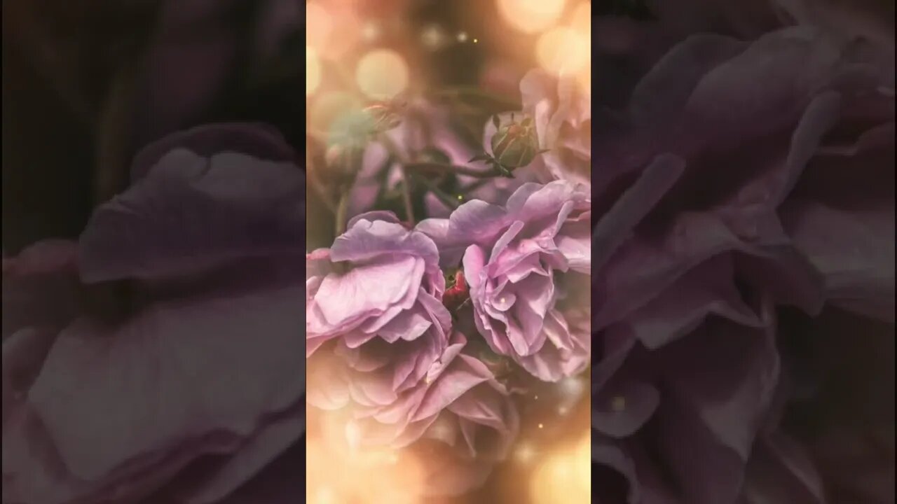 mera pyara Islam