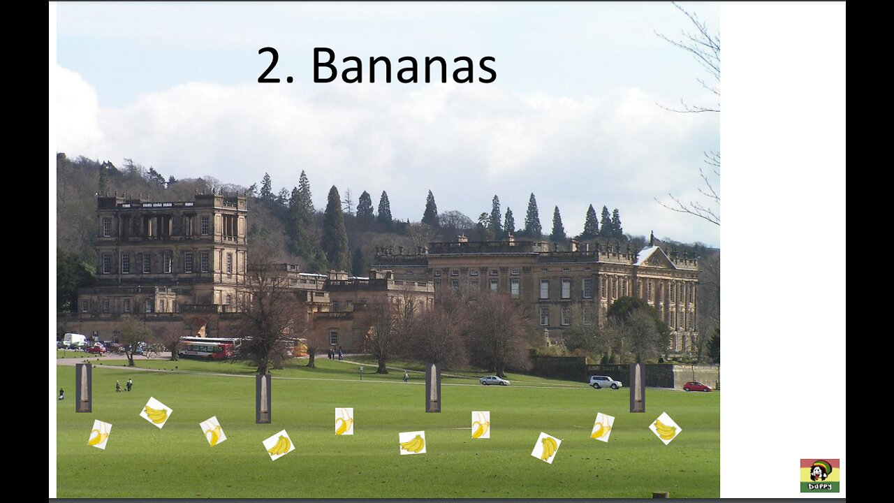 The Duppy Files vol. 2 - Bananas - The Tree of Life in Antiquity - Bloodlines