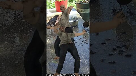 Zombies Visits! 😬