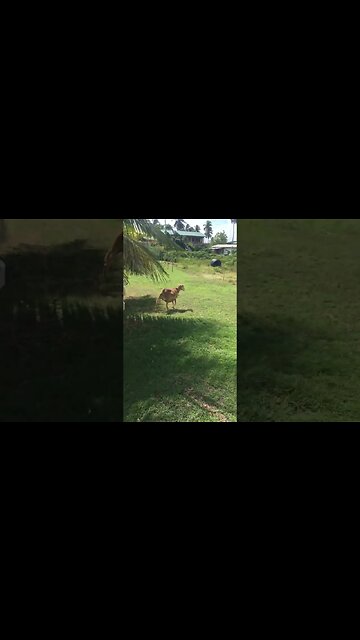 They have been together for years