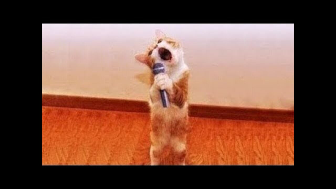 Cute Pets And Funny Compilation #4💗 Pets Cute Videos]