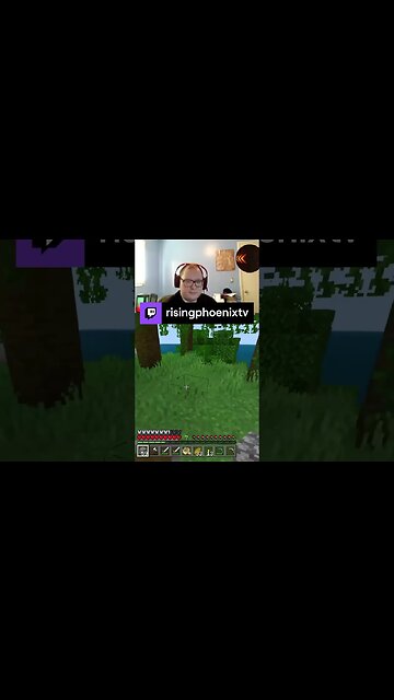 A panda and a parrot showed up together