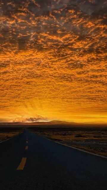 Omg the sky just turned into yellow 😮