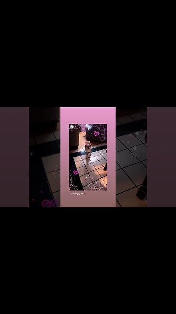 Good Morning from Gizmo