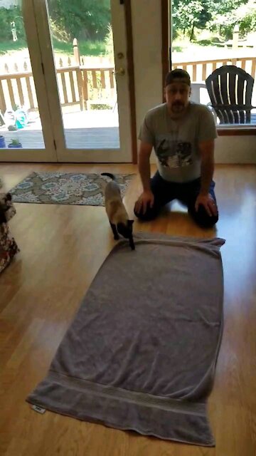 How To Have a GREAT Thanksgiving