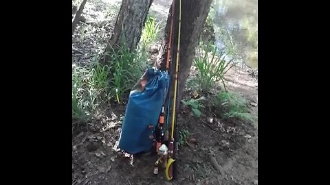 My camping gear