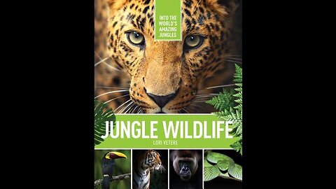 Jungle Wildlife In 4K - Animals That Call The Jungle Home Scenic Relaxation Film.